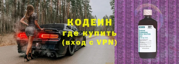 МДПВ Липки