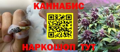 шишки Кандалакша