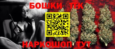 индика Канаш
