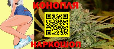 шишки Кандалакша