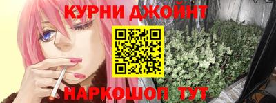 шишки Кандалакша