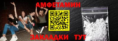 шишки Кандалакша