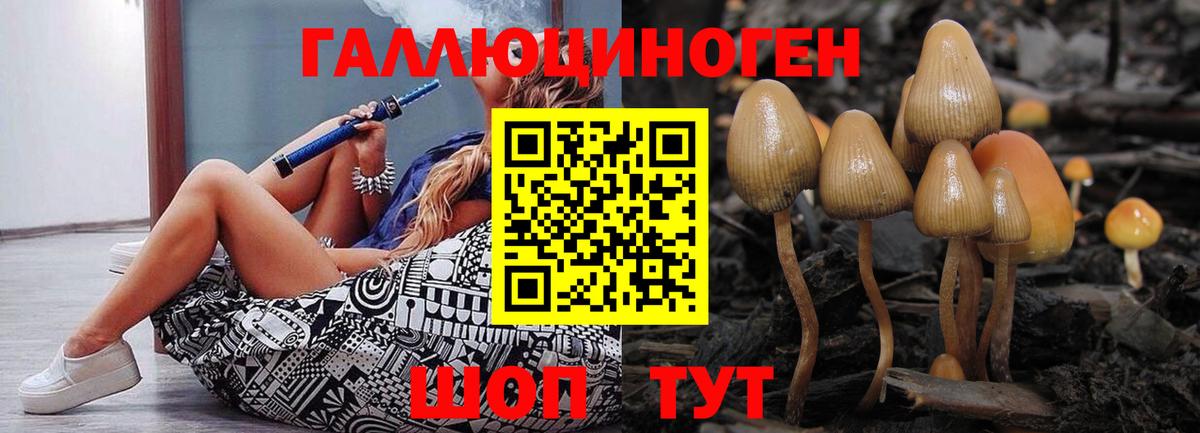 Якутск  Галлюциногенные грибы Psilocybine cubensis  Вход с VPN 