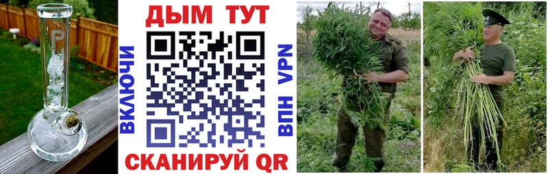 Конопля THC 21%  закладки  Якутск 